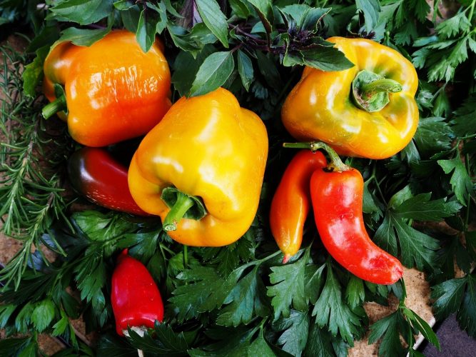 Piment vegetarien: Nos conseils de préparation